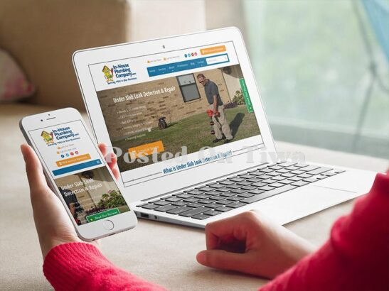 Professional Web Design Services
