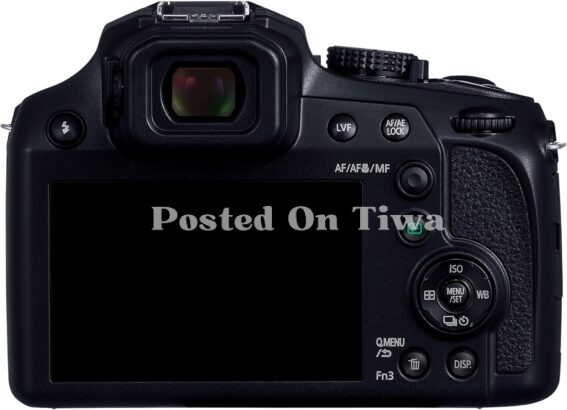 Panasonic LUMIX FZ80D: 4K Compact Camera with 20-1200mm Zoom