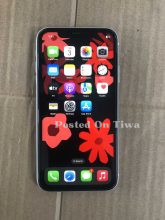 iPhone XR